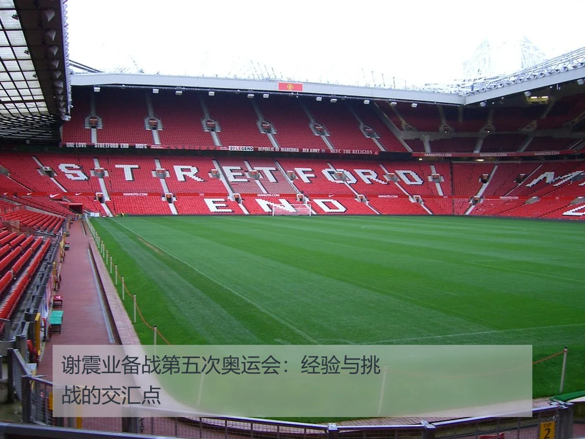 谢震业备战第五次奥运会：经验与挑战的交汇点